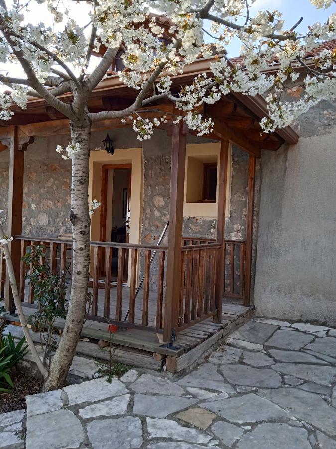 Arcadianis Lakeview Villa At Psari Arkadias Psarion Luaran gambar